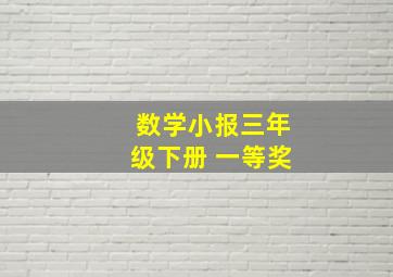 数学小报三年级下册 一等奖